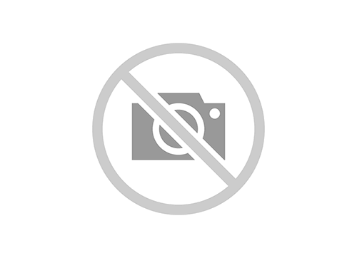 Video hướng dẫn vẽ mẫu cơ bản